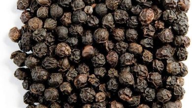 Photo of कोरोना के साथ.साथ मौसमी रोगों से भी करें बचाव – वैद्य की सलाह