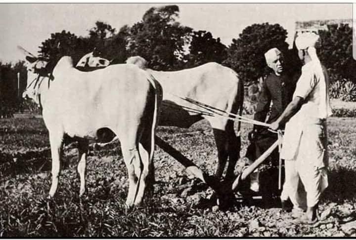 जवाहरलाल नेहरू और रायबरेली का किसान आंदोलन