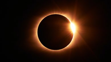 Photo of Solar Eclipse & Eye Care