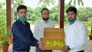 Photo of मैंगो बाबा एप से घर बैठे लीजिए सैनिटाइज आम का मज़ा