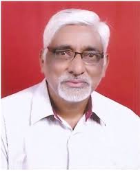 picture of author Prof Pradeep Mathur 