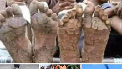 Photo of 2020 में आत्म निर्भर भारत का नजारा