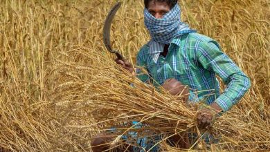 Photo of जनादेश चर्चा : किसान कोरोना की वजह से गंभीर संकट में