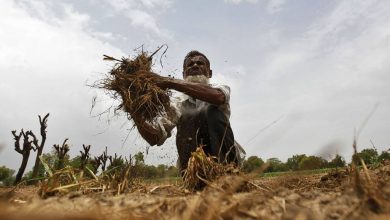 Photo of भूमि आयोग का हो गठन- मजदूर किसान मंच