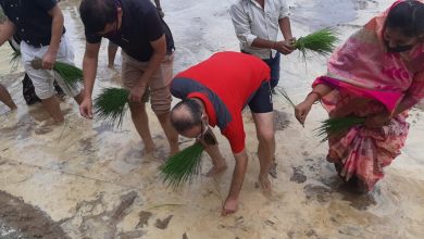 Photo of जब कलेक्टर, कप्तान और अफ़सरों को खेत में धान रोपने में मज़ा आया