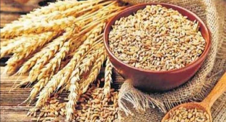 Food grains