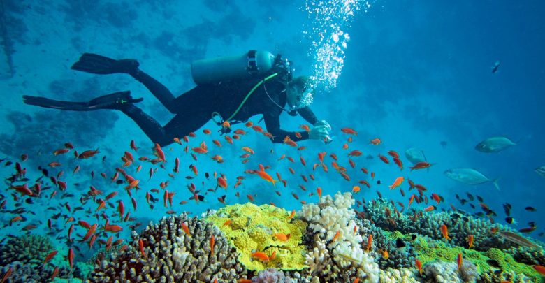 Unique Island Biodiversity Under Threat