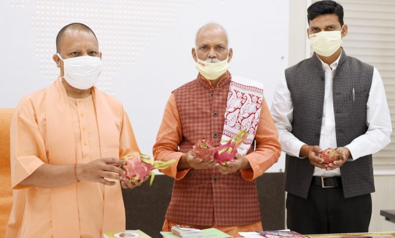 ड्रैगन फ्रूट