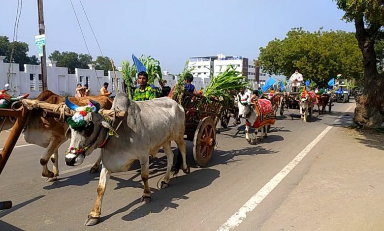 किसान आंदोलन और मोदी सरकार