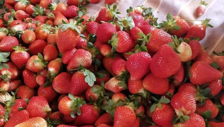 strawberry