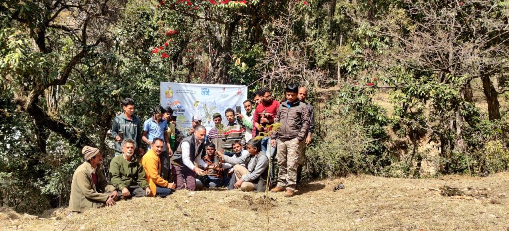 गंगा स्वच्छता पखवाड़ा : उत्तरकाशी में देवदार के पौधों का वृक्षारोपण