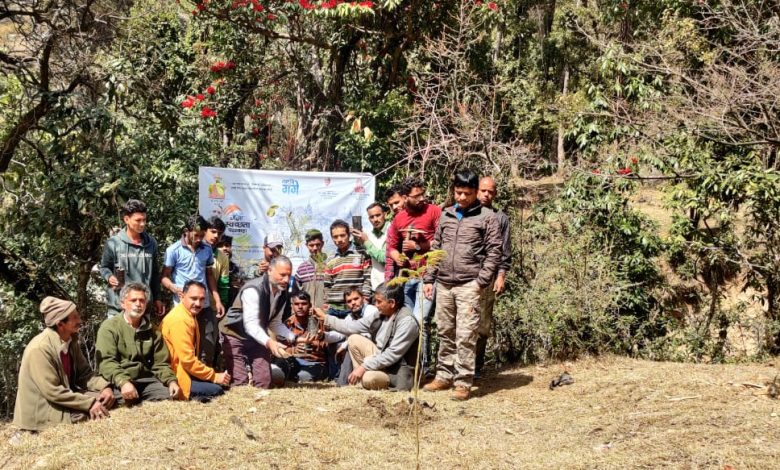 गंगा स्वच्छता पखवाड़ा : उत्तरकाशी में देवदार के पौधों का वृक्षारोपण