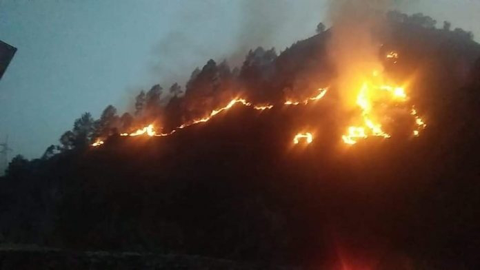 हिमालय की यह आग स्थानीय समुदाय के बिना नहीं बुझाई जा सकती
