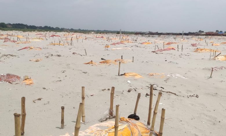 Corona dead bodies in ganga river
