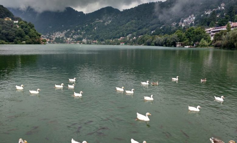 नैनीताल समाचार एक आंदोलनकारी अख़बार