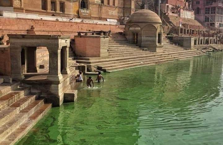 बनारस में गंगा जी का जल हरा हो गया