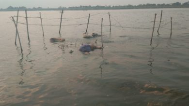 Photo of Impact of  Coronavirus Infected Dead Bodies in Ganga