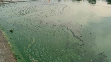 Photo of बनारस में गंगा का हरा जल : डी एम ने जाँच बैठायी