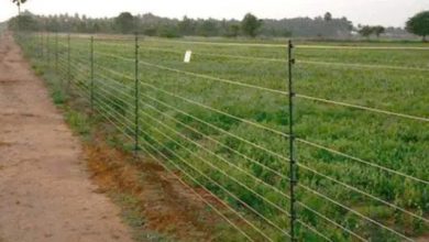 Photo of खेतों में कँटीले तार पर प्रतिबंध से किसानों में भारी नाराज़गी