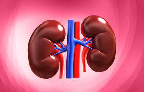 ROBOTIC Kidney transplantation at SGPGIMS