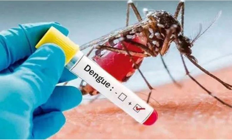कोरोना के बाद अब डेंगू की चपेट में भारत, दिल्ली में 221 मरीज भर्ती, यूपी में डेंगू से 22 मरे