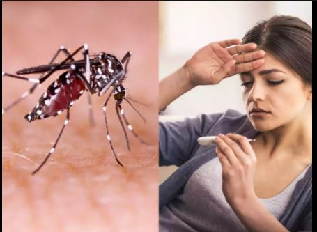 मादा मच्छरों से फैलने वाला वायरस जनित बुखार है डेंगू