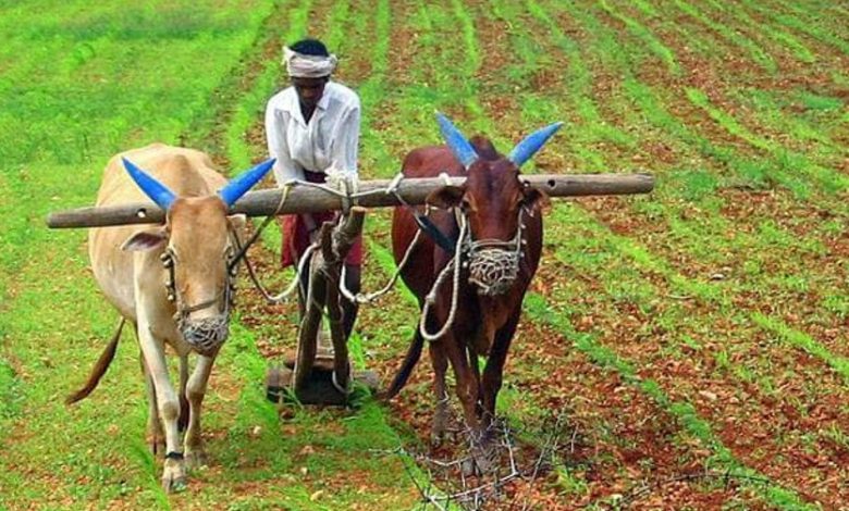 खेती किसानी का अर्थशास्त्र और अर्थशास्त्र की खेती किसानी