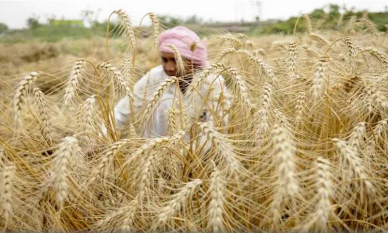 नवंबर में होगी डब्ल्यूटीओ की कृषि पर समझौते को लेकर 12वीं मंत्रिस्तरीय बैठक
