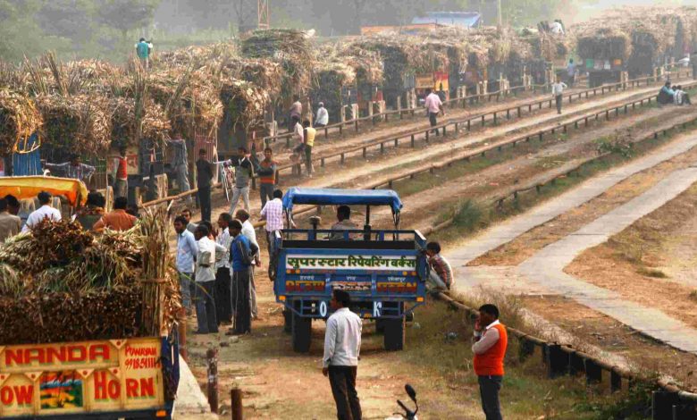 4 वर्षों में यूपी की चीनी मिलों में नई परियोजनाओं पर 3,333 करोड़ का निवेश