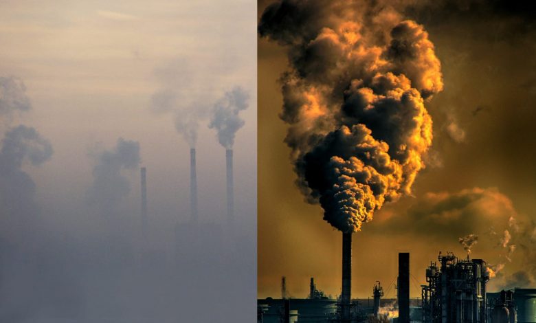 स्वच्छ हवा (डिजाइन फोटोः सोशल मीडिया)