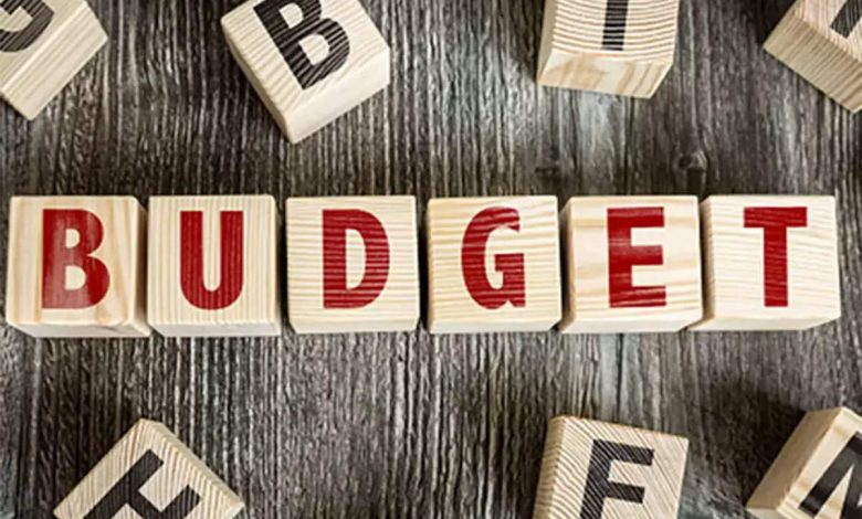 भ्रष्टाचार , बेरोजगारी और संपत्ति के केंद्रीकरण के विकास के साथ कैसा होगा इस वर्ष का बजट