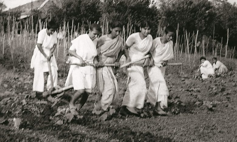 कुछ सेवायें फौरन करनी होती है जबकि कुछ नियत समय पर: बाबा विनोबा