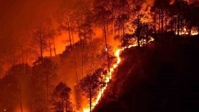 Photo of सरिस्का के जंगलों की आग: क्या क्लाइमेट चेंज है इसके लिए ज़िम्मेदार? 
