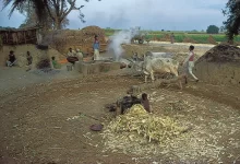 Photo of क्या भारतीय गाँव खत्म हो रहे हैं? अशोक से आज तक ग्राम व्यवस्था का सच