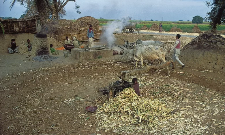 ग्राम जीवन