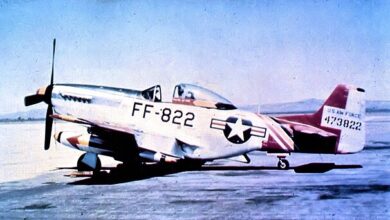 Photo of युद्ध में जीतने वाला भी रोता है: रूस-यूक्रेन से ईरान-इज़राइल तक