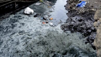 Photo of Toxic Chromium in Kanpur Residents’ Blood Raises Public Health Concerns