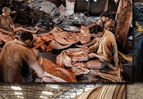 Workers in tanneries are also exposed to pollution 