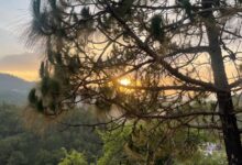 Photo of From Desert Roads to Himalayan Mist: A Road Trip Diary — Abu Road to Dharampur