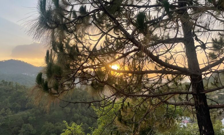 Image of sunrise in Dharampur Himachal