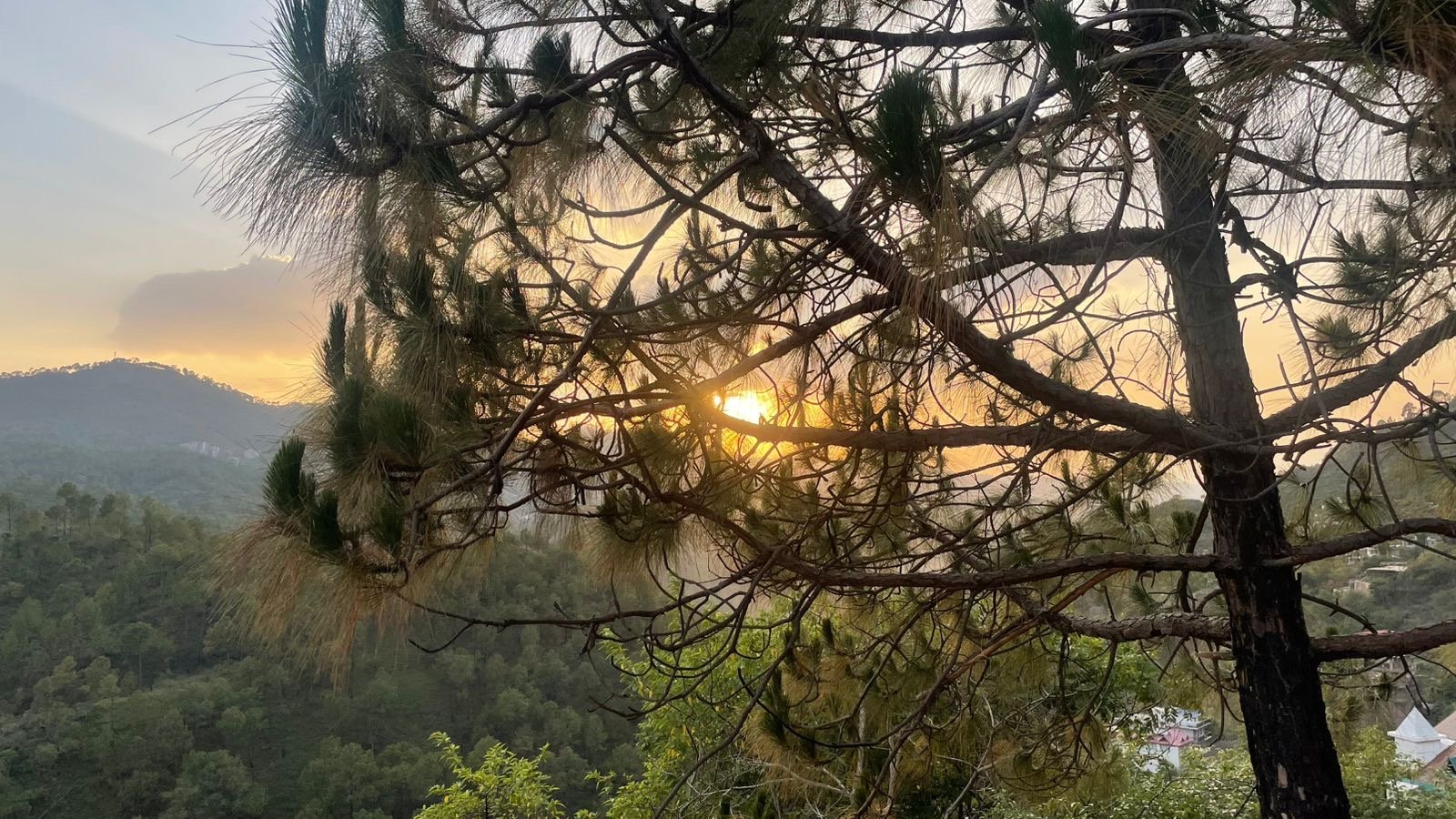 From Desert Roads to Himalayan Mist: A Road Trip Diary — Abu Road to Dharampur